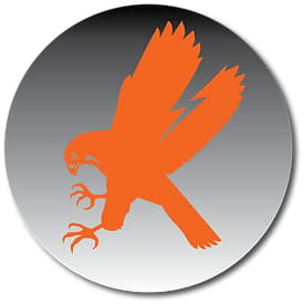 Tactical Airsoft Group logo